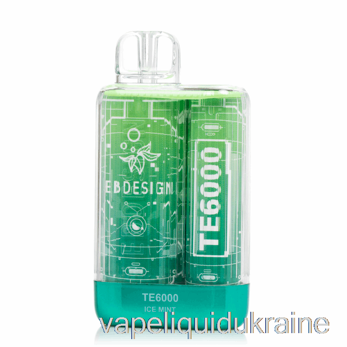 Vape Liquid Ukraine EB TE6000 Disposable Ice Mint